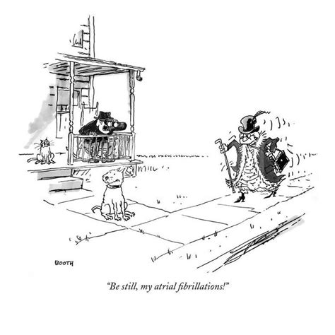 Be Still My Atrial Fibrillations New Yorker Cartoon Premium