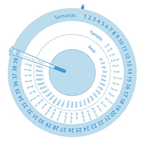 Gestograma Calcular Semanas De Embarazo Calculadora De Embarazo Calendario Del Embarazo