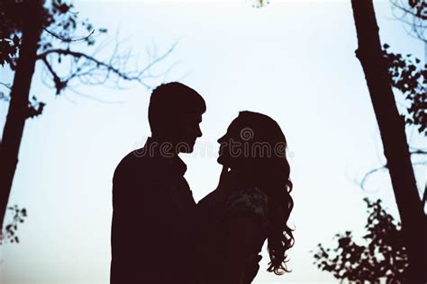 拥抱在森林里的两个恋人剪影 库存照片 图片 包括有 可爱 拥抱 恋人 言情 亲吻 表面 生活方式 76275854