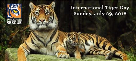 Download tiger day images and photos. International Tiger Day 2018: Global brands are standing ...