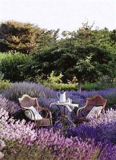 Lavender Garden Ideas ☔️💜💟 Vía In 2020 Lavender Garden Amazing Gardens