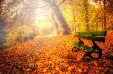 Waiting For You Autumn Scenery Most Romantic Places Fall Photos