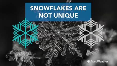6 Fun Facts About Snowflakes Abc7 Los Angeles