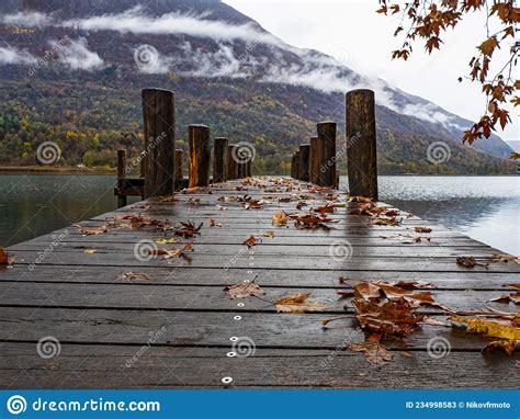Dock On A Lake In Autumn Season Stock Image Image Of Forest