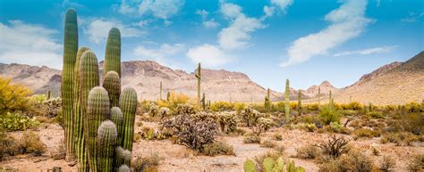 Tucson Real Estate | Tucson Homes and Condos for Sale