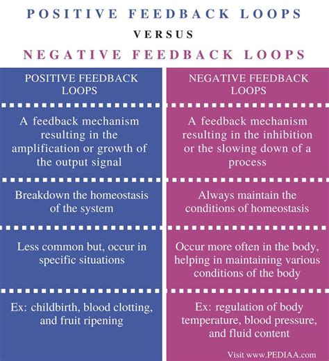 Difference Between Positive And Negative Feedback Loops In Biology