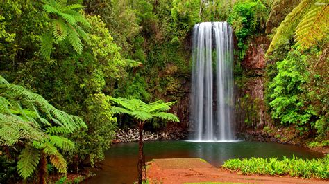 Beauty & health, reviews, fashion, life style, home, equipment, and technology. Hidden waterfall wallpaper 938 | Wide Screen Wallpaper ...