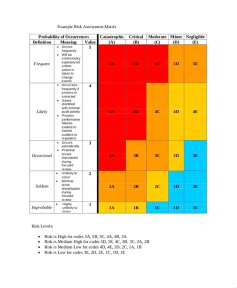 Project Risk Assessment Example With A Risk Matrix Template Ssi Sexiz Pix