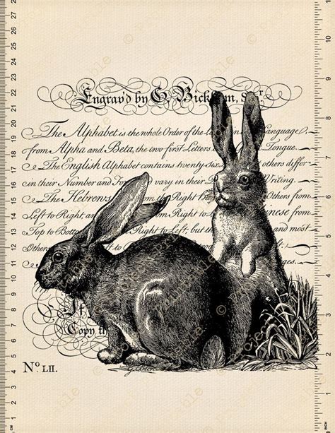 Instant Download Printable Vintage Victorian Hare Fabric Etsy In 2021