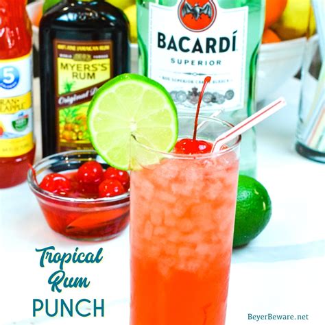 Easy Tropical Rum Drink Recipes Besto Blog