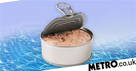 Millennials Are Killing Canned Tuna Metro News