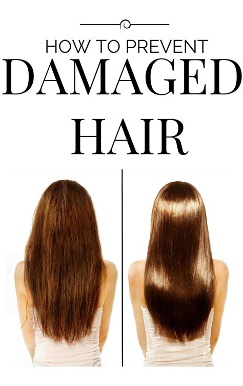 Check spelling or type a new query. How to Prevent Damaged Hair | Divine Lifestyle