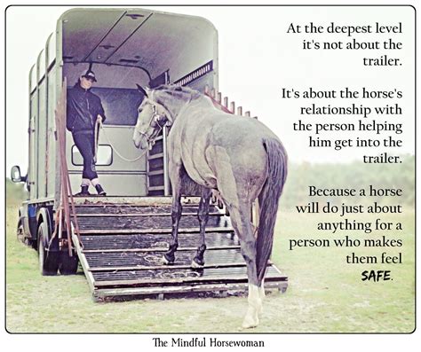 Everything You Do With Your Horse Is An Opportunity To Build Trust