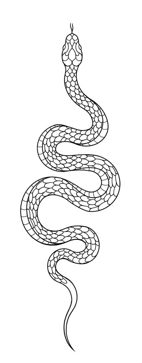 Snake Tattoo Stencil Tattoo Templates Snake Tattoo Design Snake Tattoo