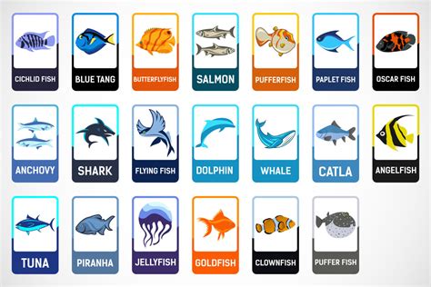 Fish Flashcards For Kids Deeezy