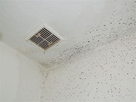 Indoor Mold Symptoms Of Mold Exposure A Z Air Duct Phoenix Az
