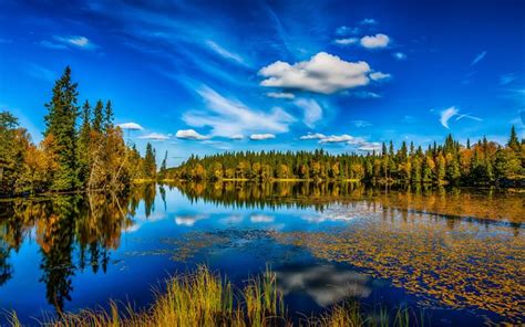 A Lake Surrounded By Trees And Grass Under A Blue Sky With Clouds In