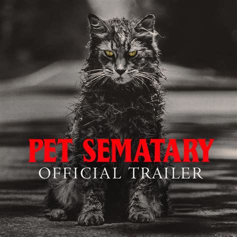 Pet Sematary Official Trailer They Dont Come Back The Same Based