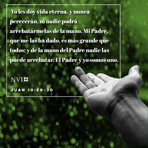 Nvi Verse Of The Day Juan 1028 30 Juan 10 Mensaje De Dios Palabra
