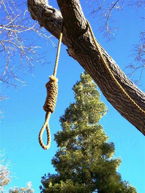 Get A Rope Hangmans Noose Hanging From The Tree At The Flickr