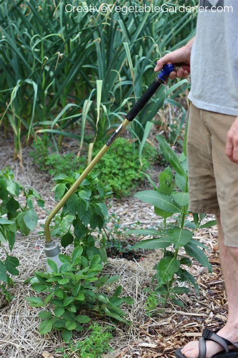Secrets To Watering Your Vegetable Garden The Right Way Best Garden