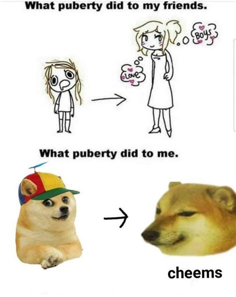 Puberty Cheems Know Your Meme