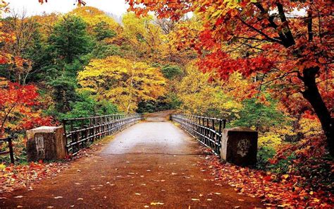 Buy Avikalp Exclusive Awi3285 Beautiful Autumn Scenery Bridge Colorful