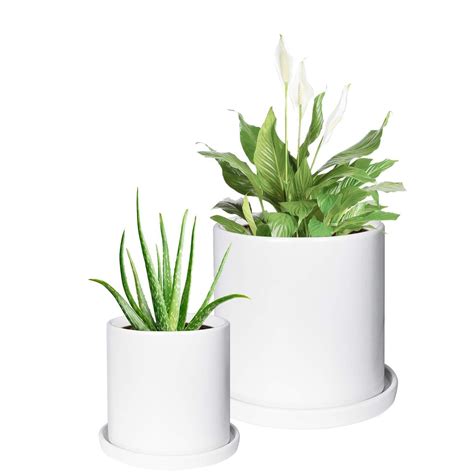 Timeyard Ceramic Plant Pots Indoor Modern Planters White For Succulents