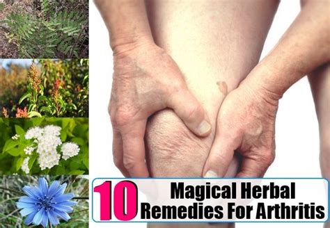 10 Magical Herbal Remedies For Arthritis Herbal Remedies For