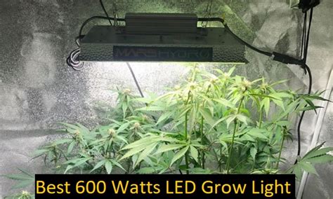 The grow light has 100 pieces of 3 watts led bulbs. Best 600 Watts LED Grow Light: Full Spectrum (Review 2020 ...