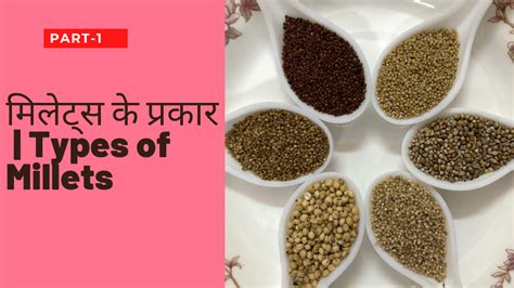 मिलेट्स के प्रकार Types Of Millets Param Hindi