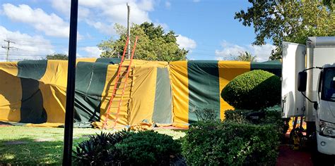 Termite Tenting Cost Get A Free A Inspection And Quote In Minutes