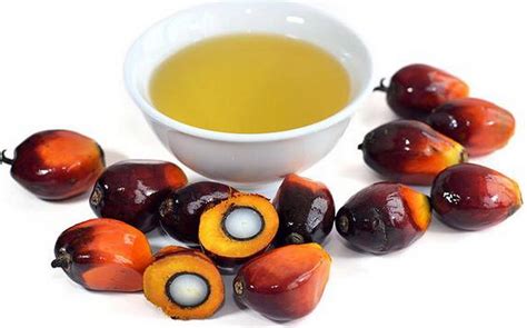 Refined Palm Oil Ariyan International Inc