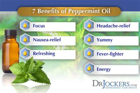 Health Benefits Of Peppermint Top10hop