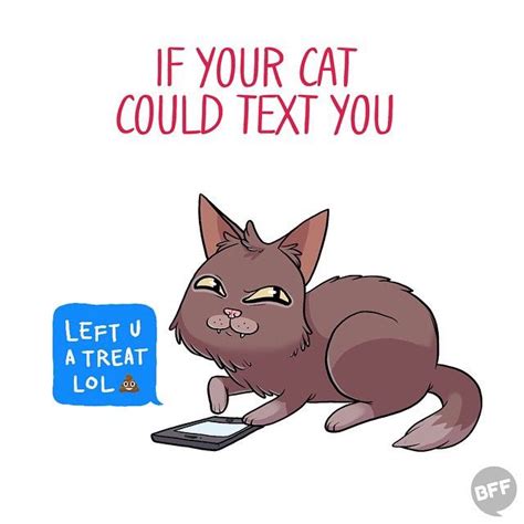cat text cat text cats pretty cats