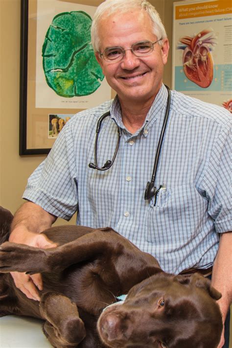 Oncology and diseases of the kidney dr davis's commitment to cullman and the surrounding areas has continued with the addition of dr william. Lee's Veterinary Hospital | Cullman, AL 35058 > About Us ...