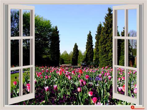 gambar langit halaman rumput jendela rumah musim semi merah