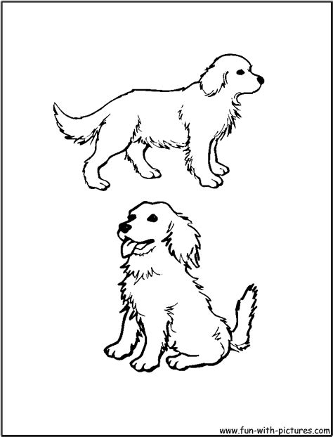 Your golden retriever needs to live indoors as part of the family. Golden Retriever Puppies Coloring Pages - Coloring Home