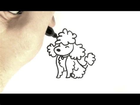 You already know how to draw a dog and a husky dog. How to Draw a Poodle - YouTube