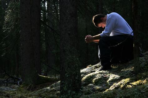 Free Stock Photo Of Man Praying In The Misty Forest Download Free
