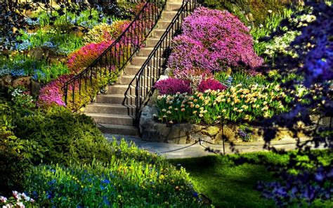 Free Download Beautiful Beauty Beautiful Garden Nature Flowers Hd