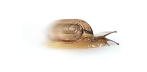 Snail Running Snail At Race Motion Blur Rush Ad Snail
