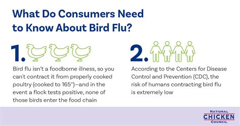 Avian Flu Avian Influenza Information