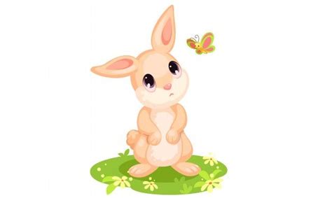 Download Cute Rabbit Looking At Butterfly Cartoon For Free Butterfly