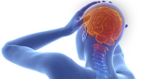 Meningitis Afecta Capas Del Cerebro El Salmantino