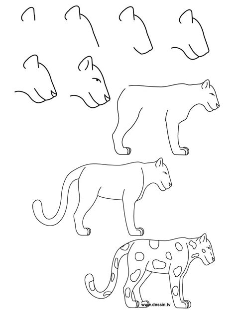 Dessin Jaguar Easy Drawing Steps How To Draw Steps Step By Step