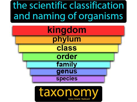 Taxonomy: The scientific classification and naming of organisms. in ...