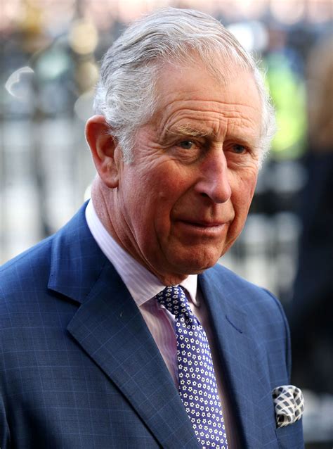 Prince Charles Biography: The New Royal Biography Set To 