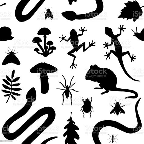 Vector Seamless Pattern Of Hand Drawn Forest Animal Rodent Reptiles And