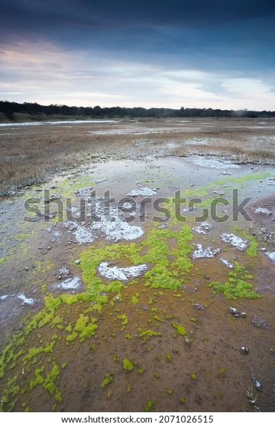 Saltpeter On Floor Lagoon Semi Desert Stock Photo 2071026515 Shutterstock